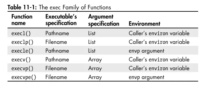 The exec Family of
Functions